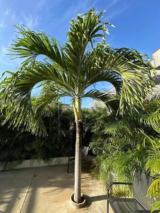 Vila Casa Naj Balam Bacalar Mexiko