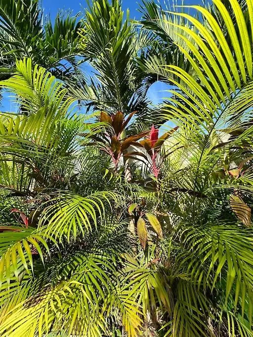Casa Naj Balam Villa Bacalar Holiday home